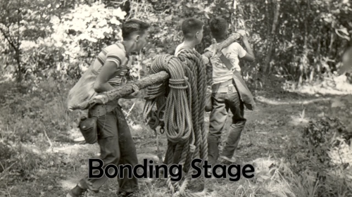 Bonding Stage